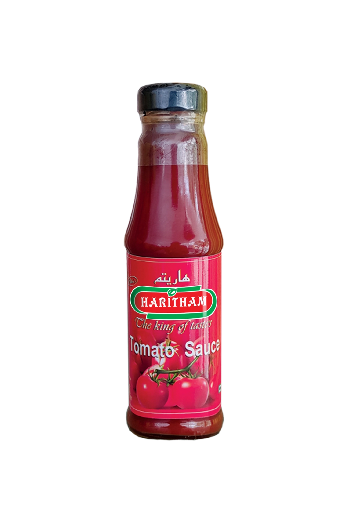 TOMATO SAUCE